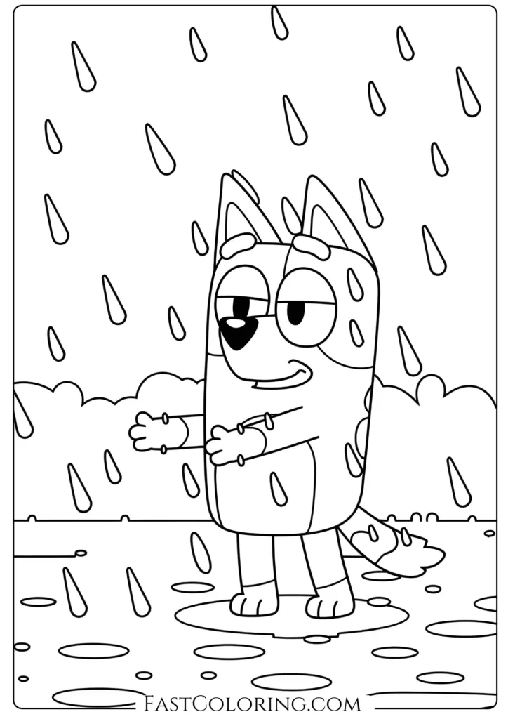 Bluey’s Catching Raindrops