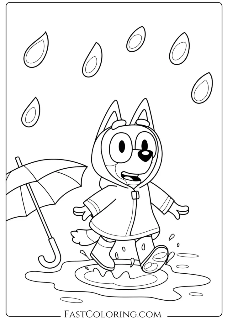 Bluey’s Rainy Day